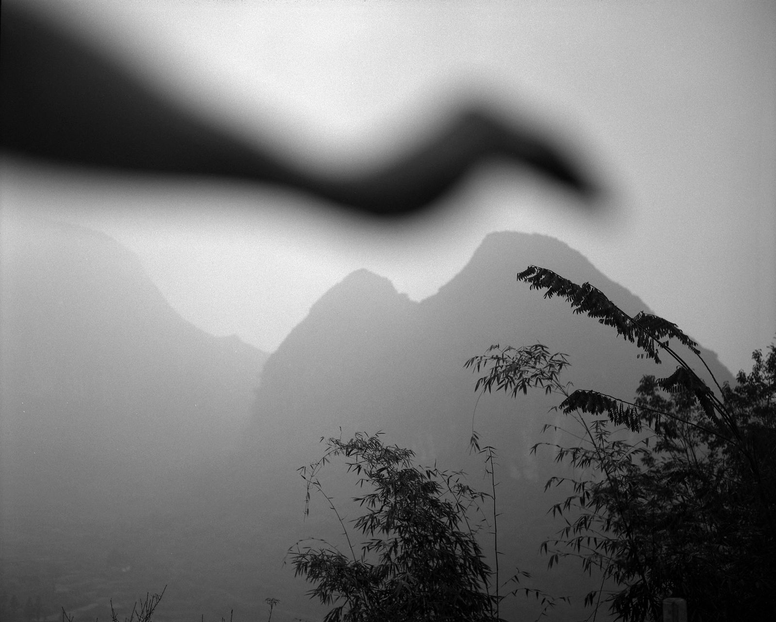 Arno Rafael Minkkinen, Bird of Lianzhou, Lianzhou, China, 2006