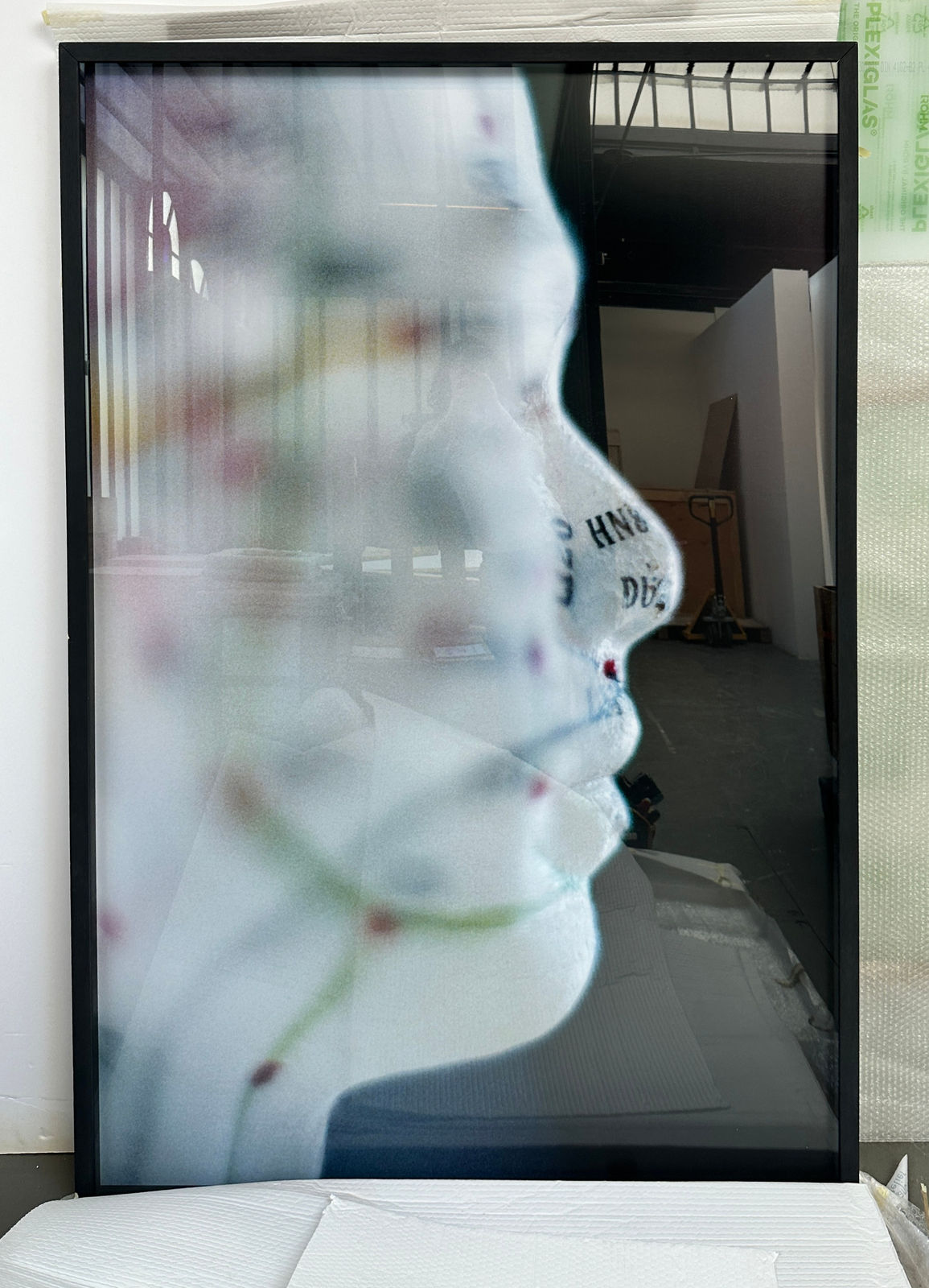 Jeanne Susplugas, Acupuncture (face), 2010