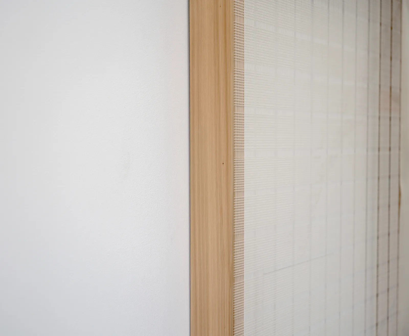 Rachel Hope Peary, I brought them forward, 2021