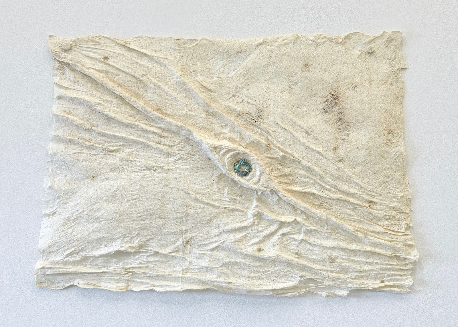 Atarangi Anderson, Mata (mā, mauī), 2025