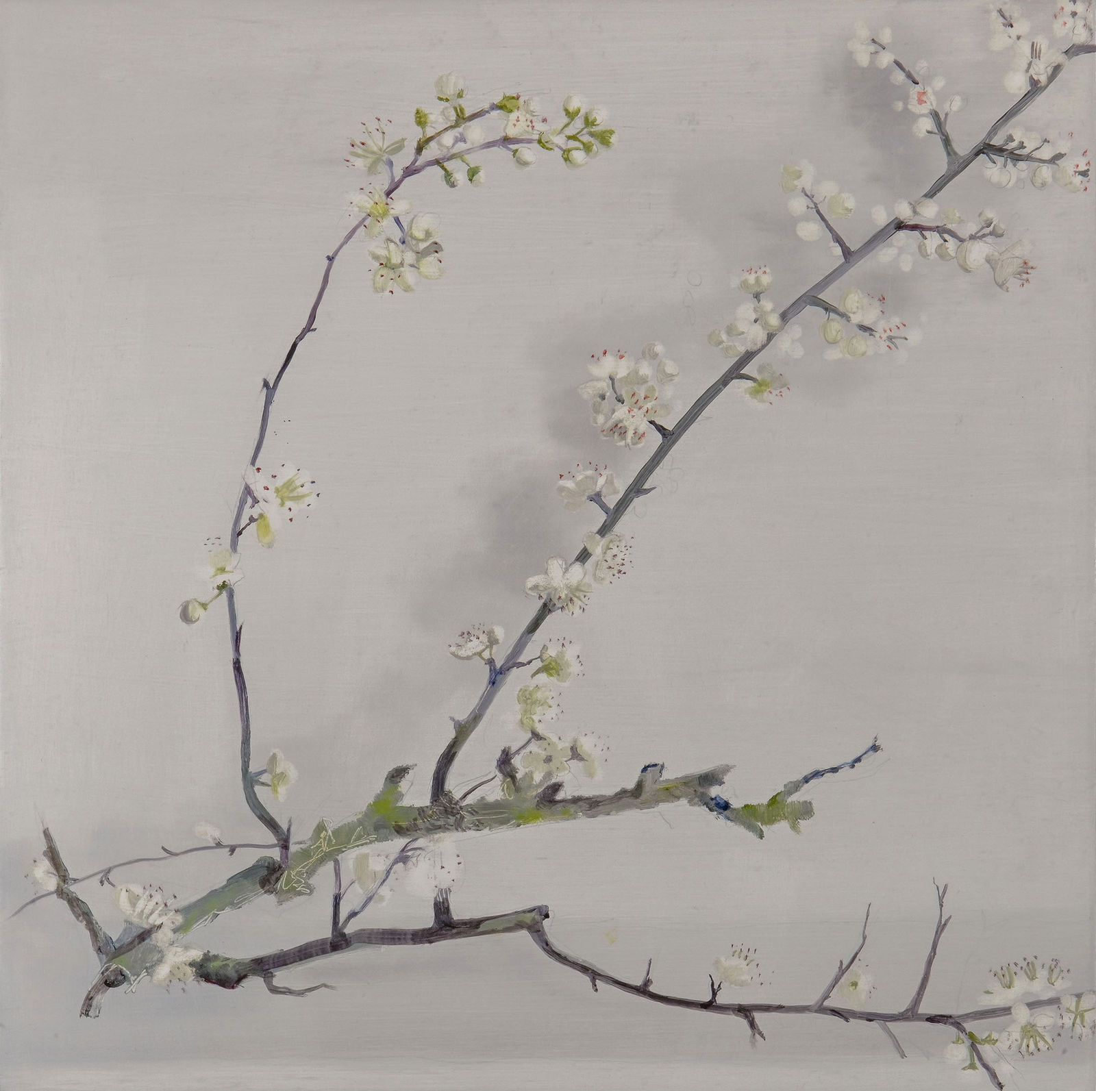 Kate Beaugié, Blackthorn Branch | Holy Week, 2023