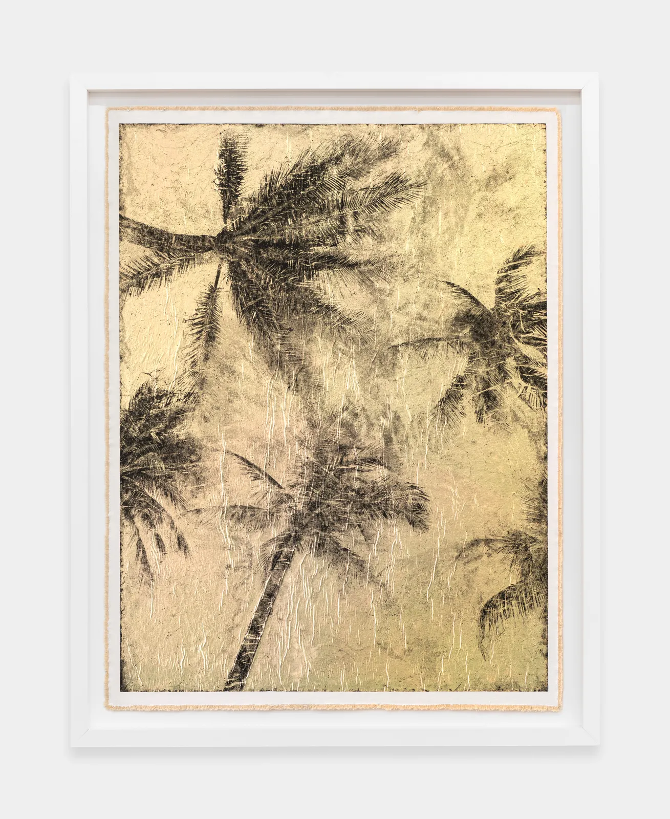 Bill Claps, Palm Canopy, Key Biscayne II, Negative Version, 2024