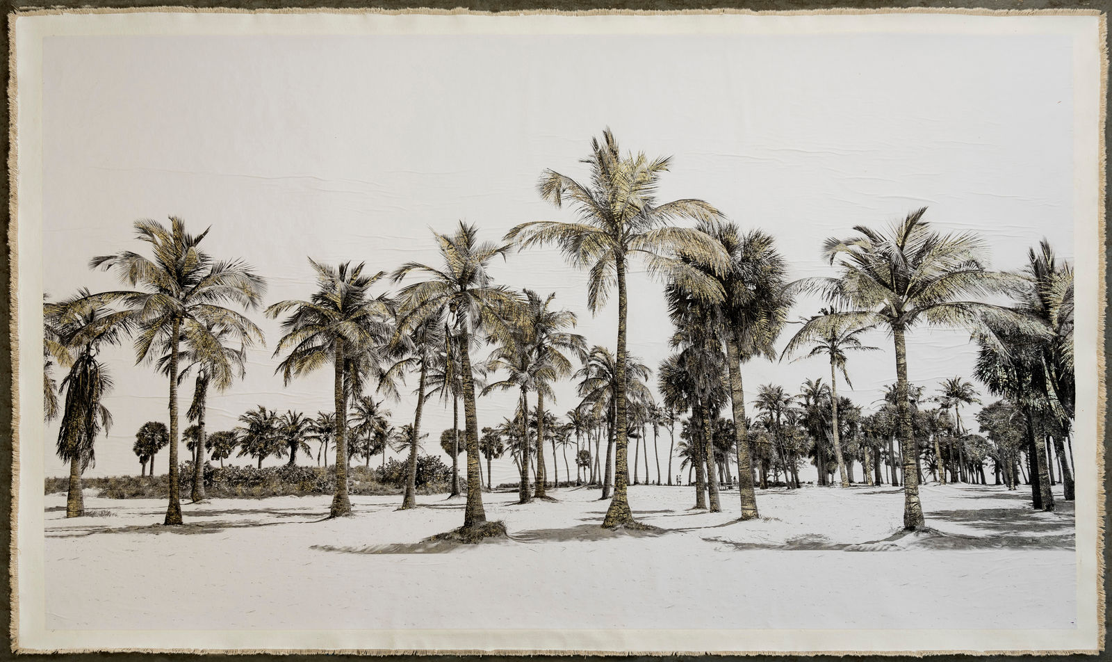 Bill Claps, Beachscape, Key Biscayne I, 2024