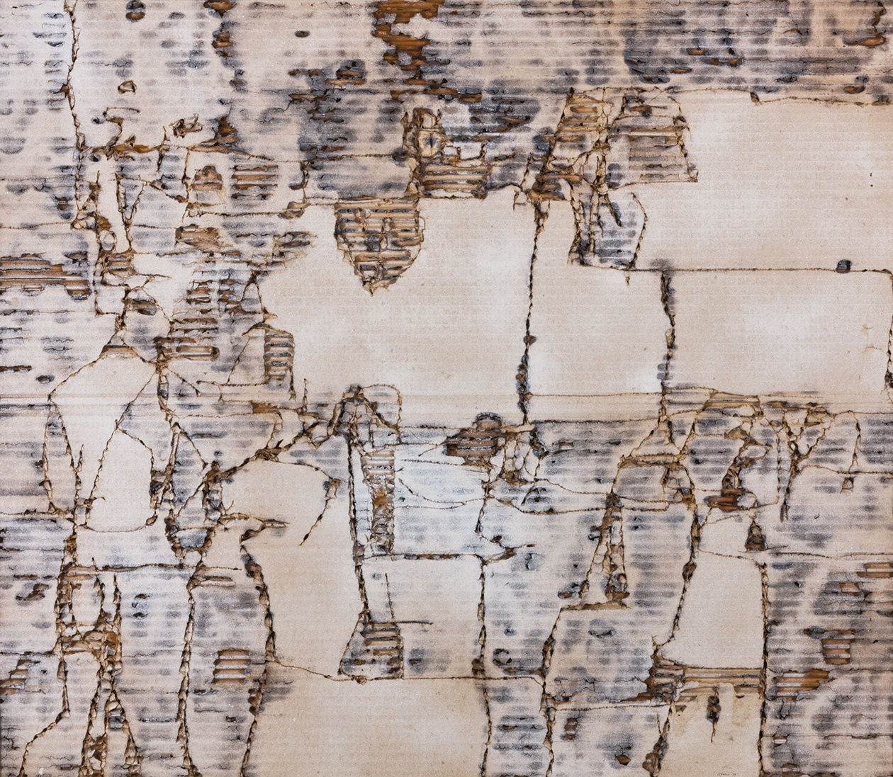 Maliheh Afnan, Silent Witness, 1979