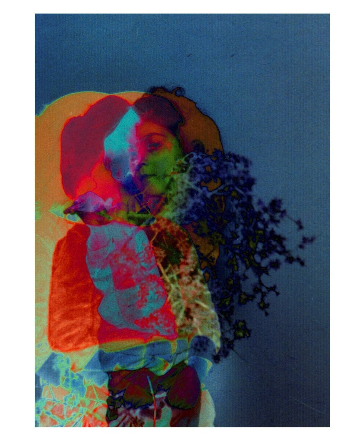 Setareh Shahbazi, Spectral Days #33, 2013