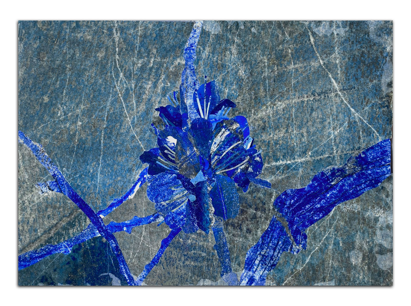 Hamra Abbas, Flower Studies 12, 2023