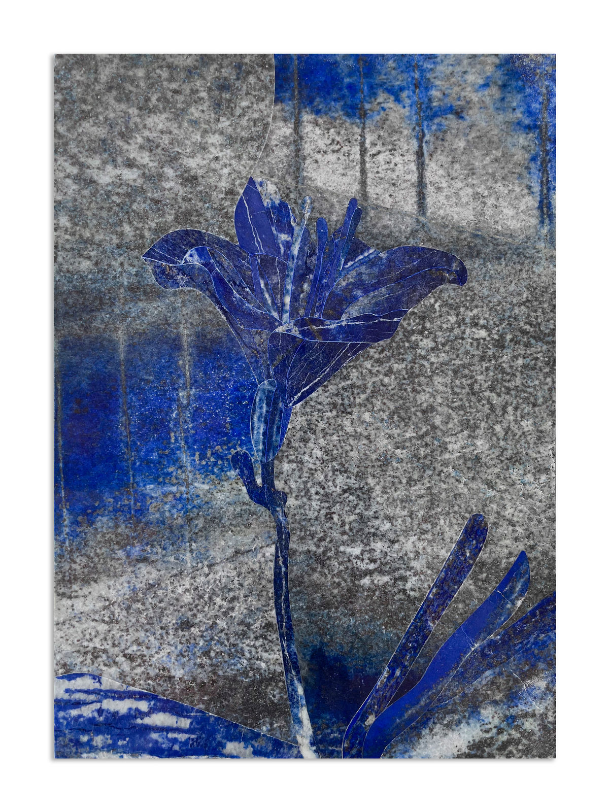 Hamra Abbas, Flower Studies 9, 2023