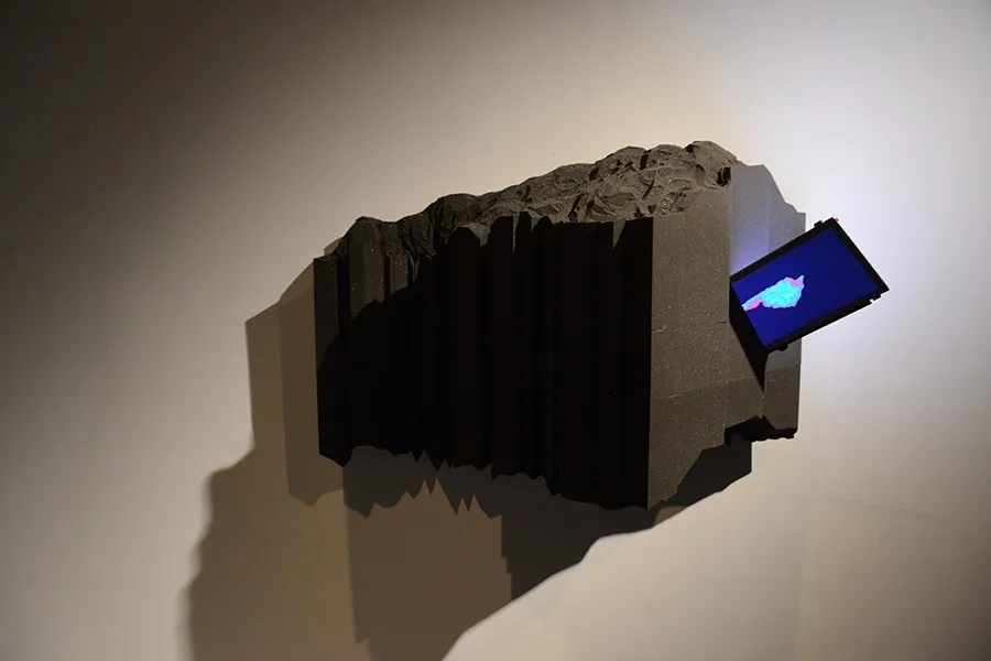 Lin Xin 林欣, The Order of Bugs NO.3, 2016