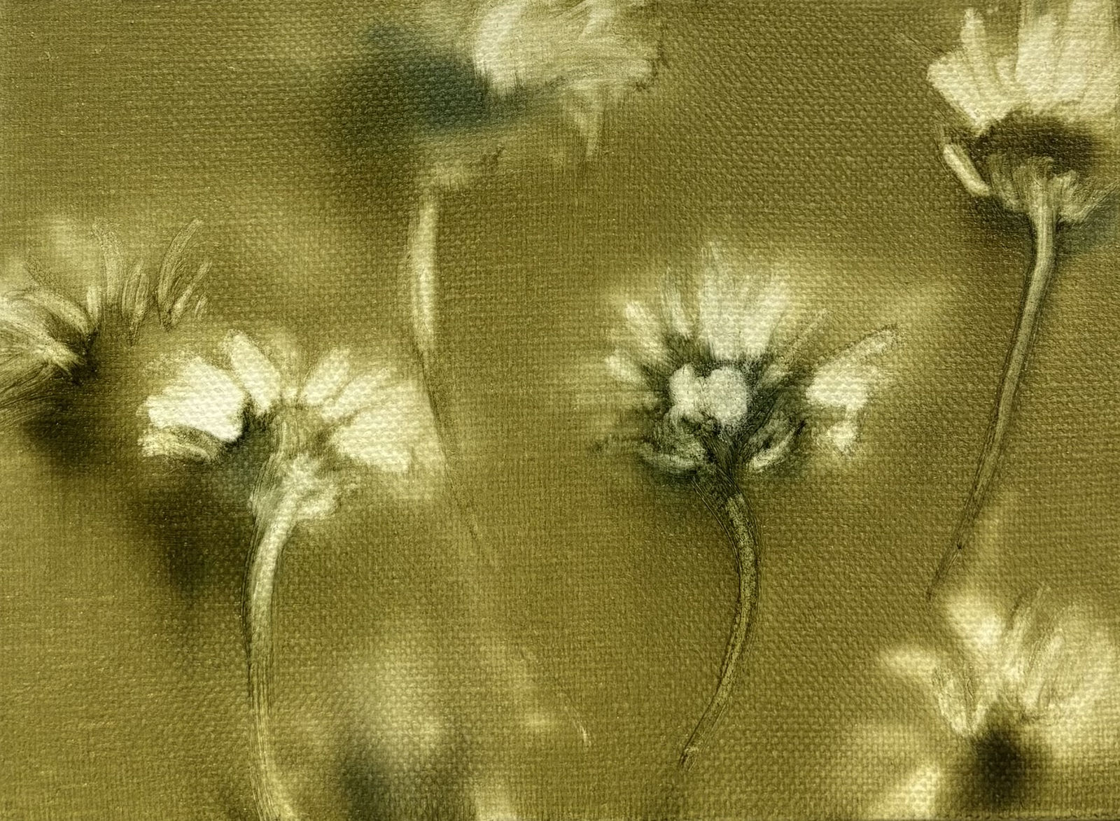 米莱娜·桑歇 Milène Sanchez, Untitled 无题, 2025