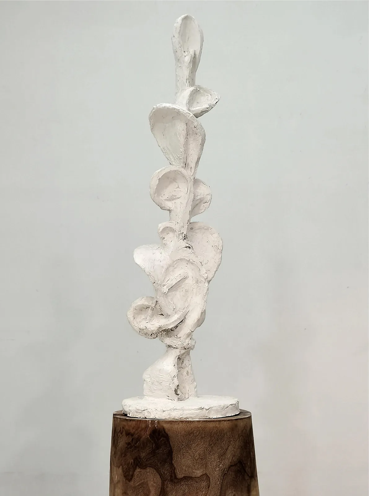 Zhang Ning 張寧, The Growth of Narcissus 2 那喀索斯的生长之二 , 2024