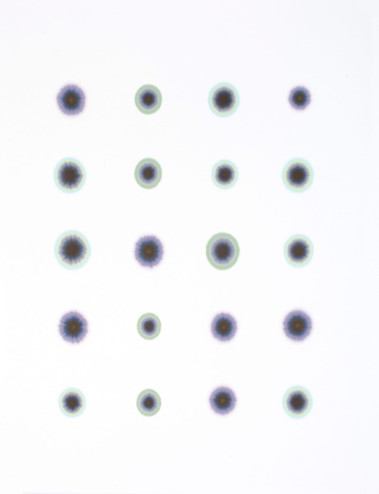 Dong Dawei 董大为, Dark Galaxy S1 星球之黑暗星系S1, 2015