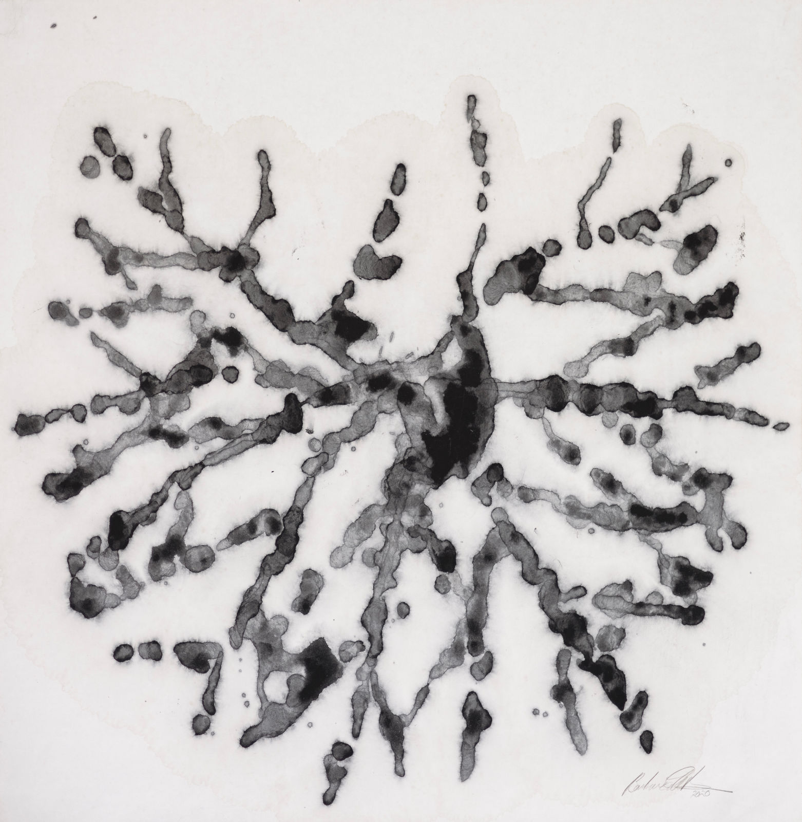 Barbara Edelstein 芭芭拉・愛德斯坦, Leaf in the Air (series) 空气中的叶 （系列）, 2020