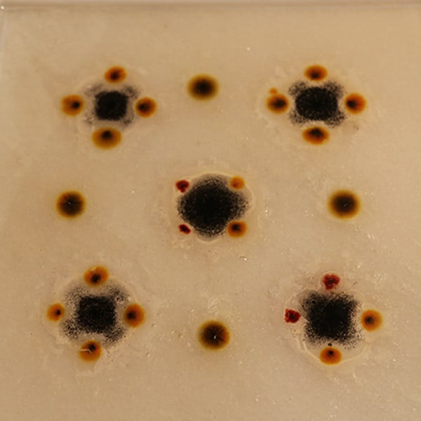 Chen Youtong 陈友桐, Objects of Orders-2 秩序之物-2, 2018