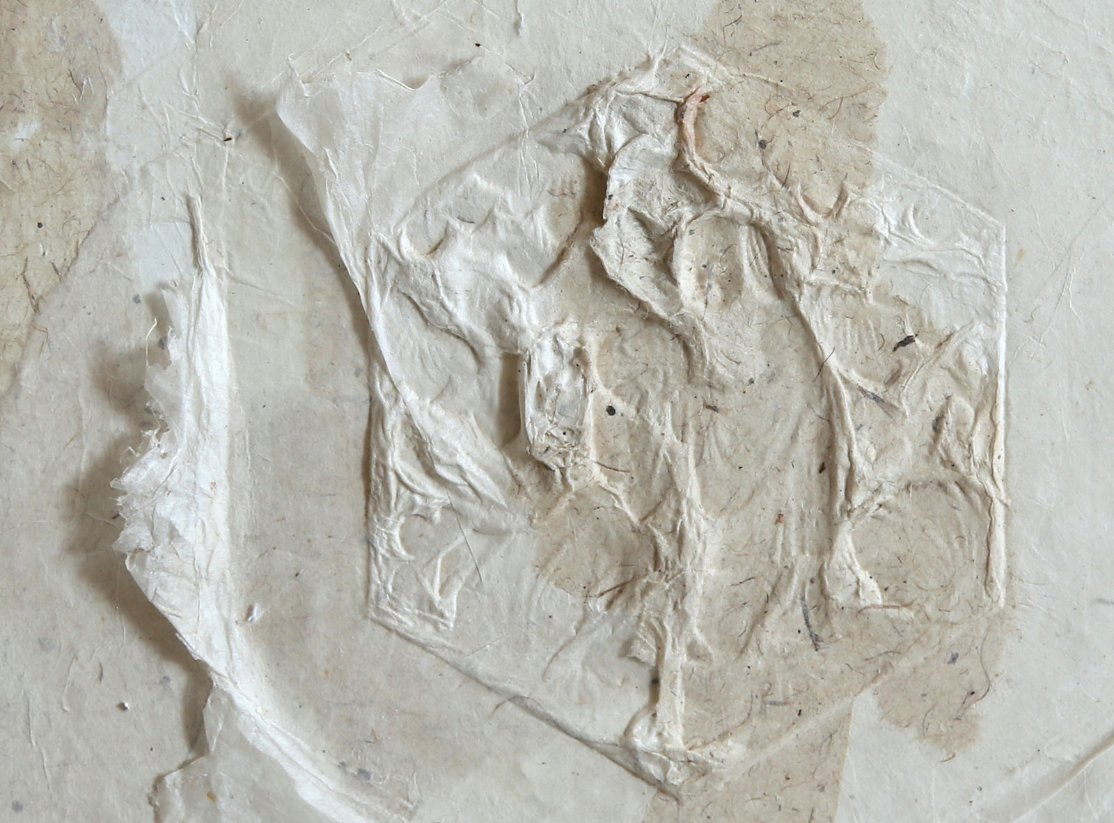 Lin Yan 林延, 202002 #7, 2020