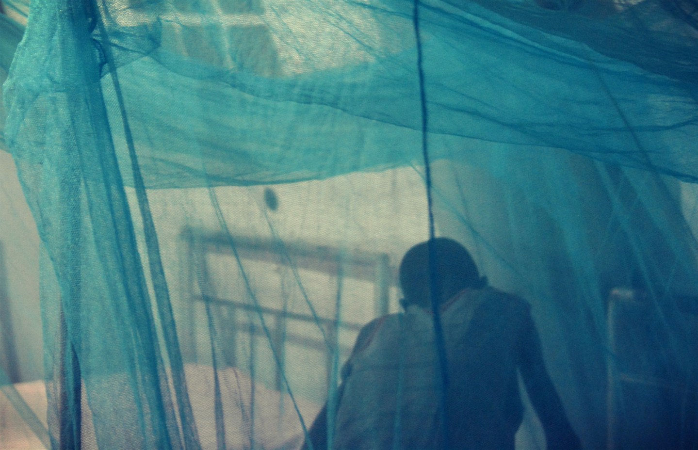 Alec Von Bargen 亞歷克・馮・巴根, Under the blue skies of Agok #1, 2018