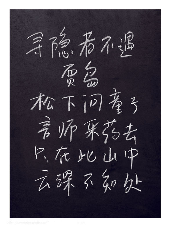 Cai Dongdong 蔡东东, For An Absent Recluse 寻隐者不遇, 2007
