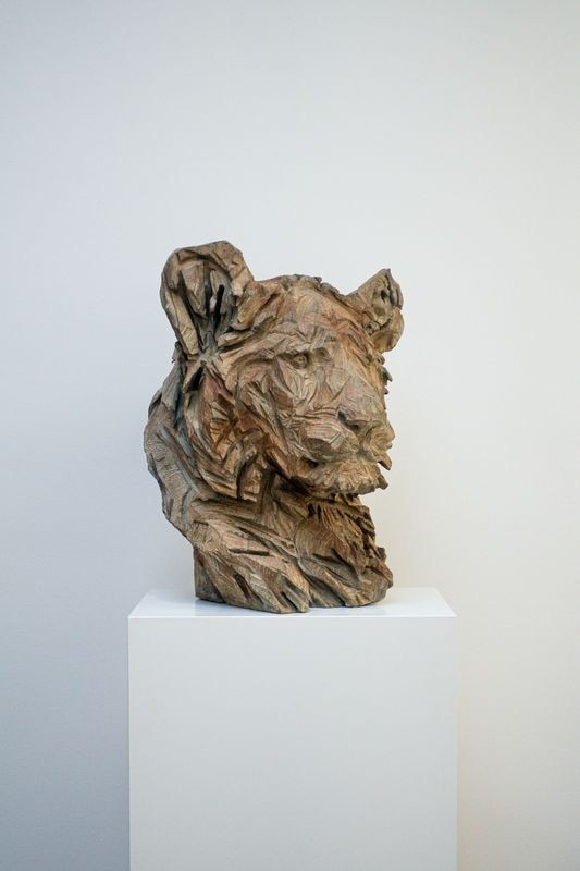 Jürgen Lingl, Hope (young lion)