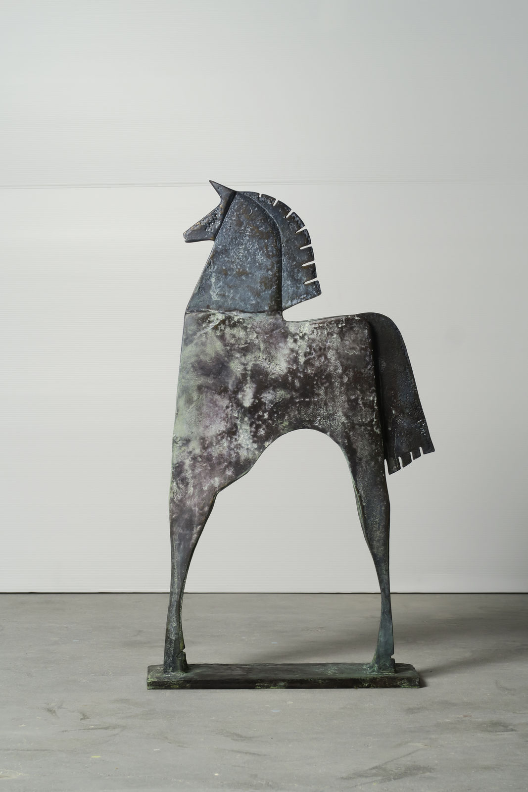 Carlos Mata, Caballo Portaón