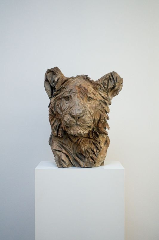 Jürgen Lingl, Hope (young lion)