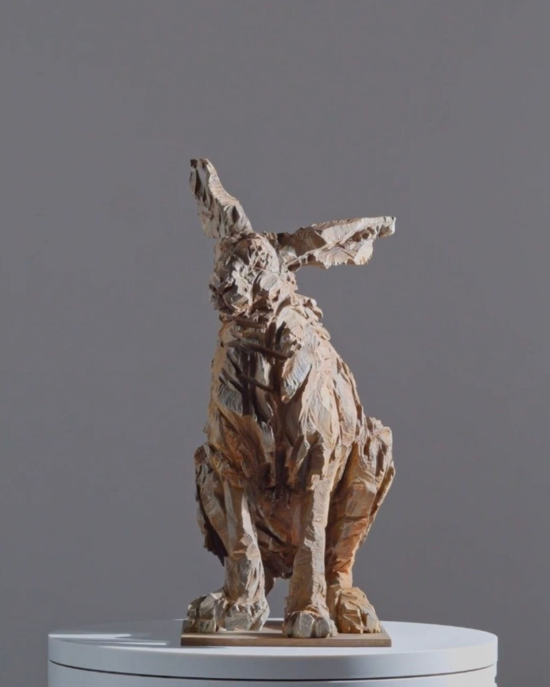 Jürgen Lingl, Lièvre