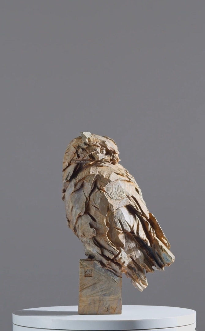 Jürgen Lingl, Hibou, 2024