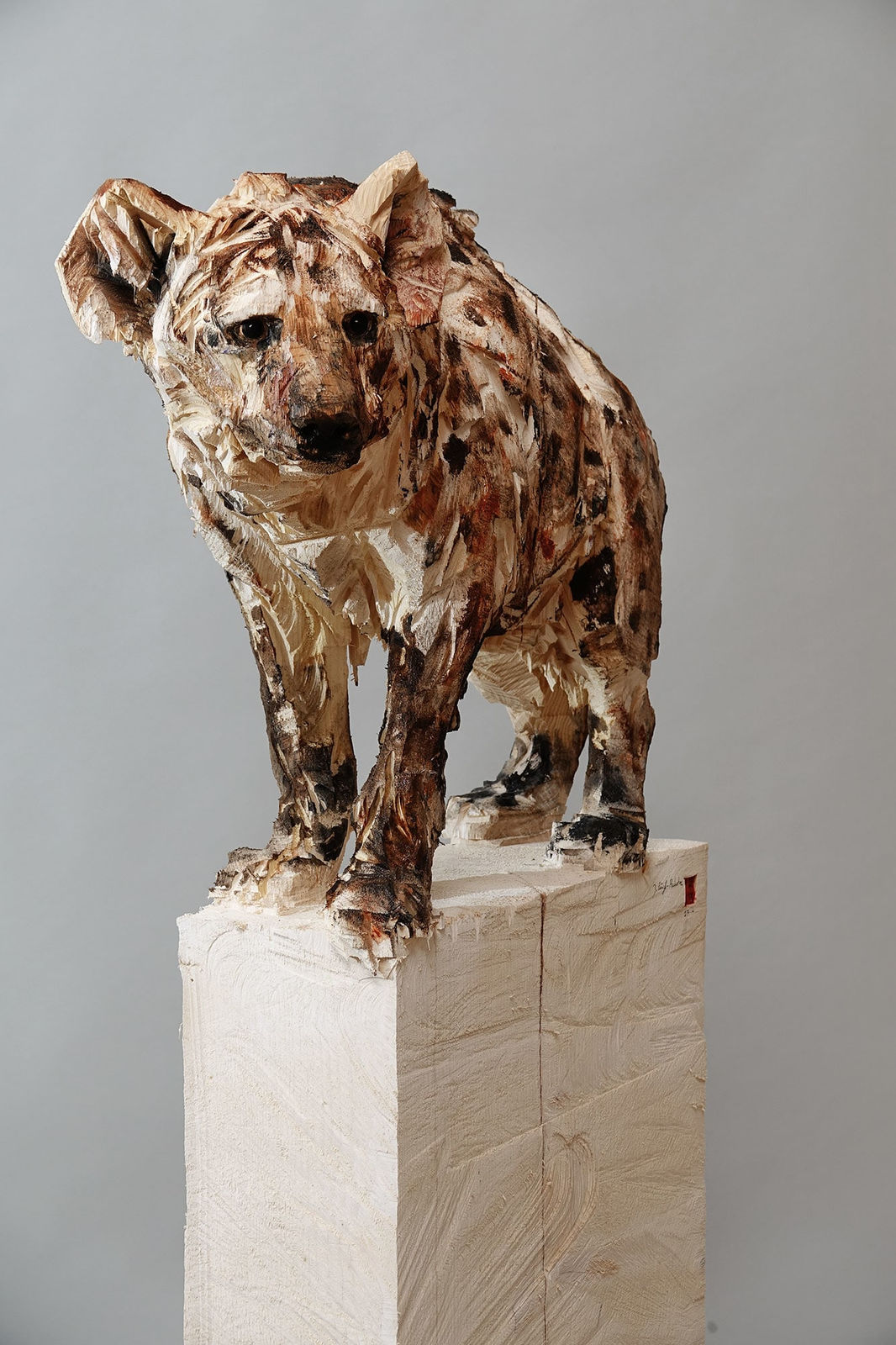 Jürgen Lingl, Hyène