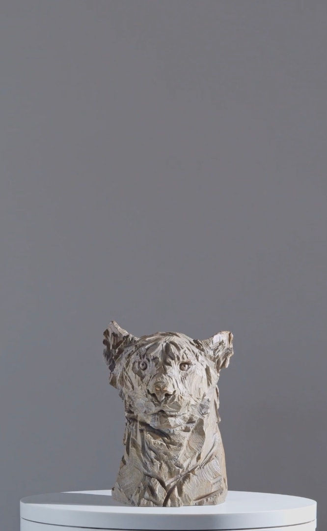 Jürgen Lingl, Buste de leopard Nikolaus