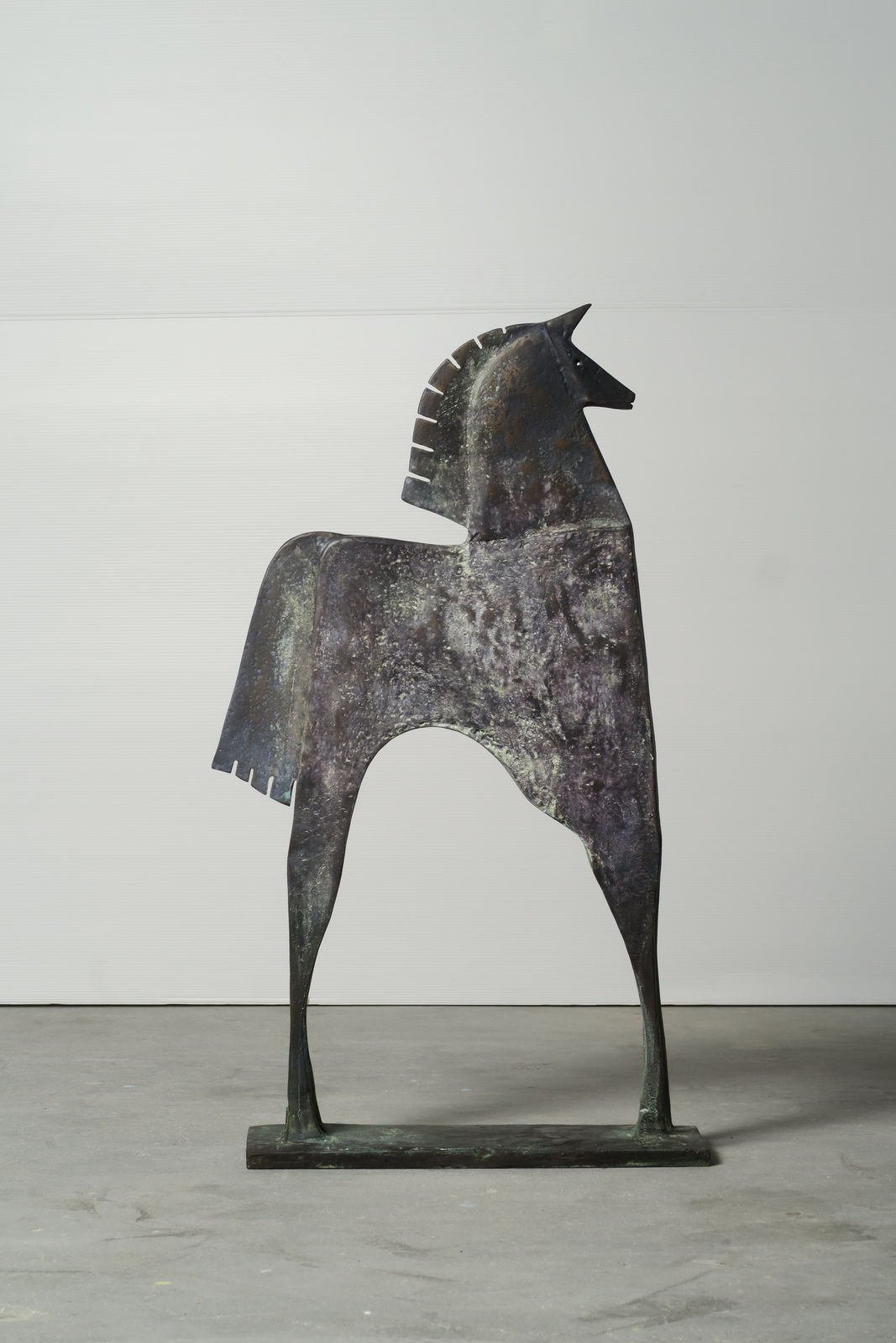 Carlos Mata, Caballo Portaón