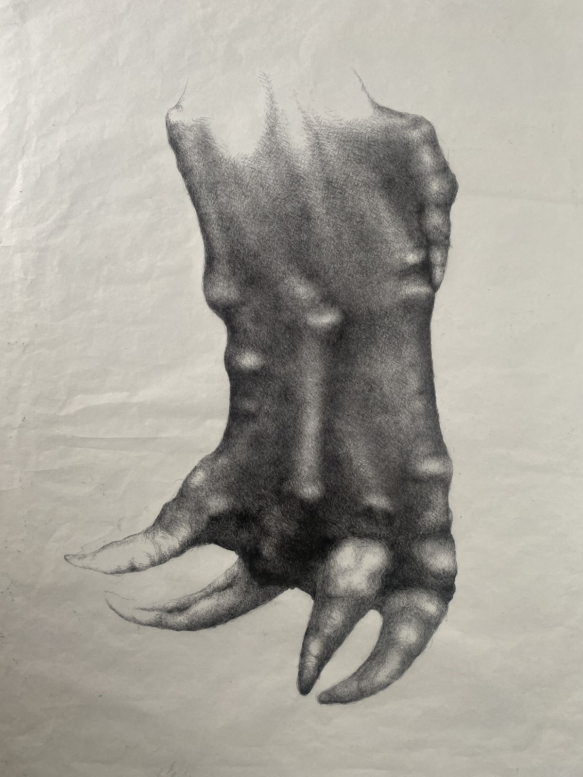 Abigail Norris, Omega's Return, 2024