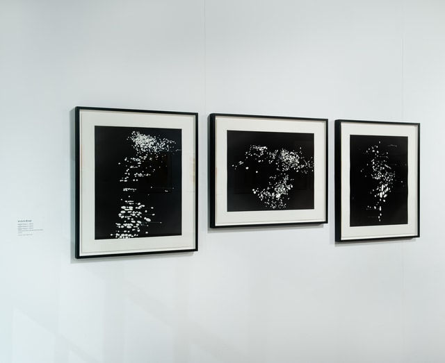 Victoria Burge, Night Pixel I, II & III, 2012