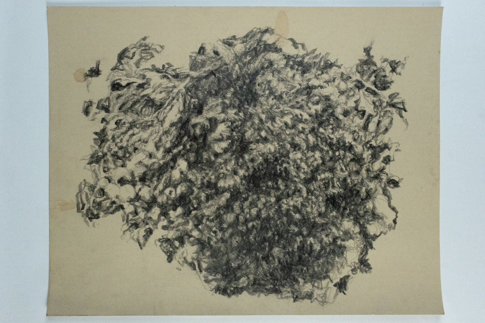 Abigail Norris, Scrying X, 2025