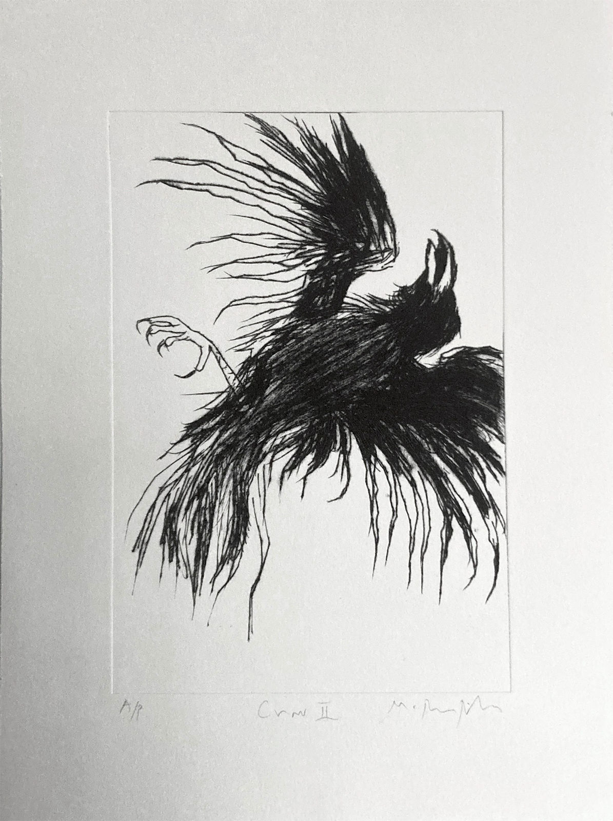 Marcus Rees Roberts, Crow II, 2025