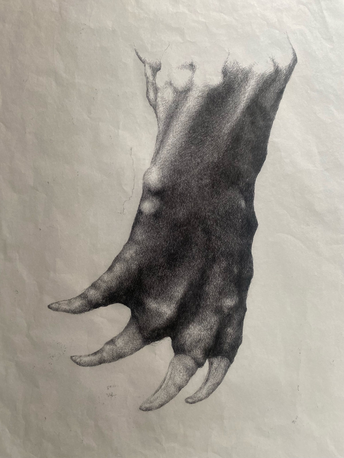 Abigail Norris, Omega's Return II, 2024