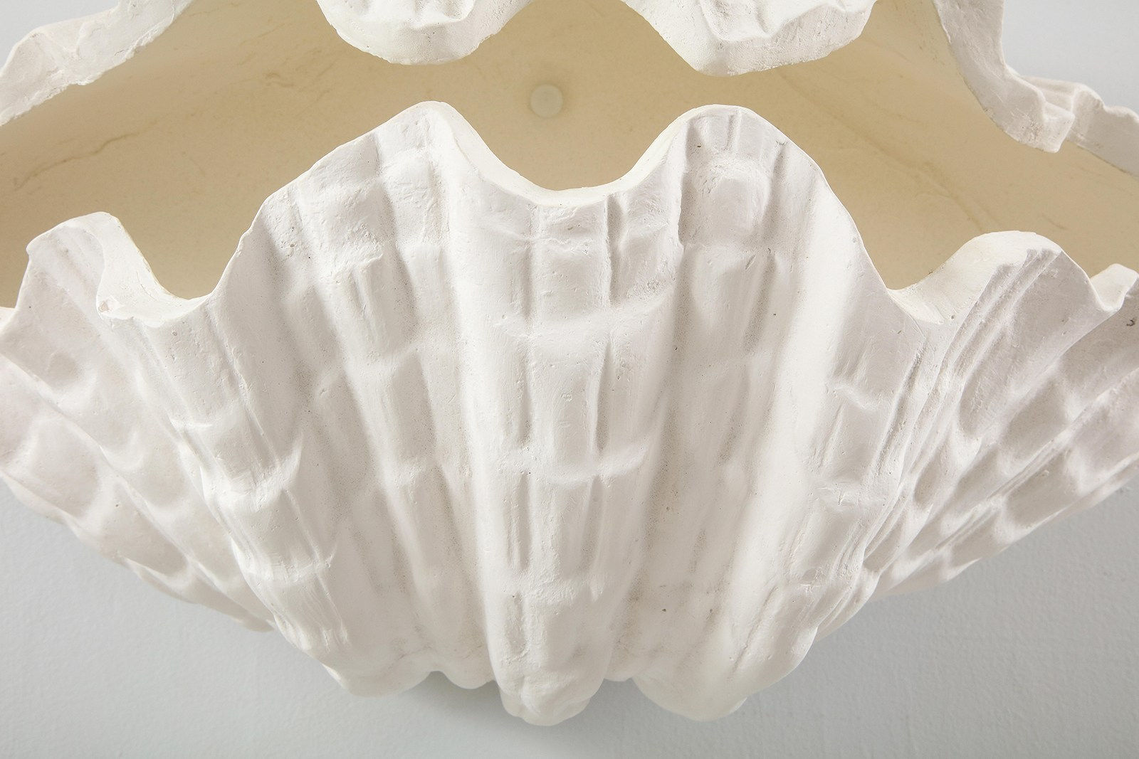 Pair of Custom Coquillage Plaster Sconces, 21st Century