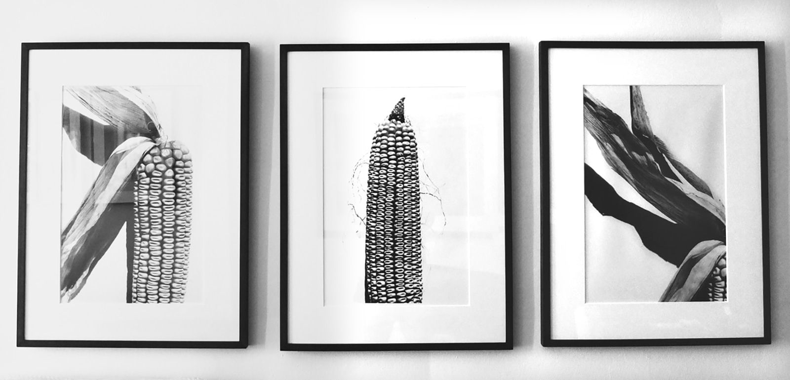 Christophe von Hohenberg, "Corn" set of three Gelatin silver prints by Christophe von Hohenberg, 2012