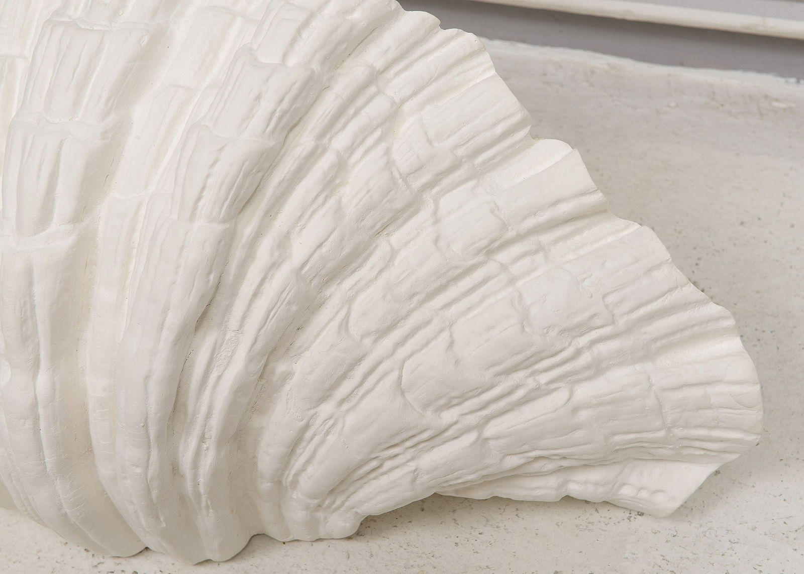 Bespoke Pair of Coquillage Plaster Sconces, 21st century