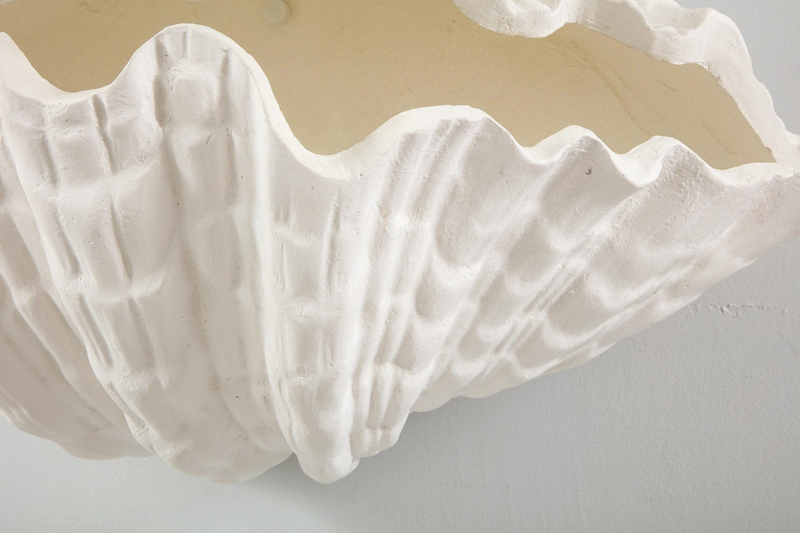 Pair of Custom Coquillage Plaster Sconces, 21st Century