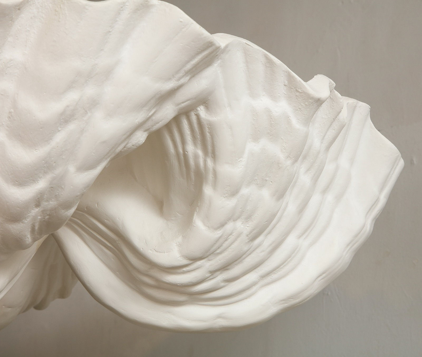 Custom Coquillage Plaster Fixture, 21st century