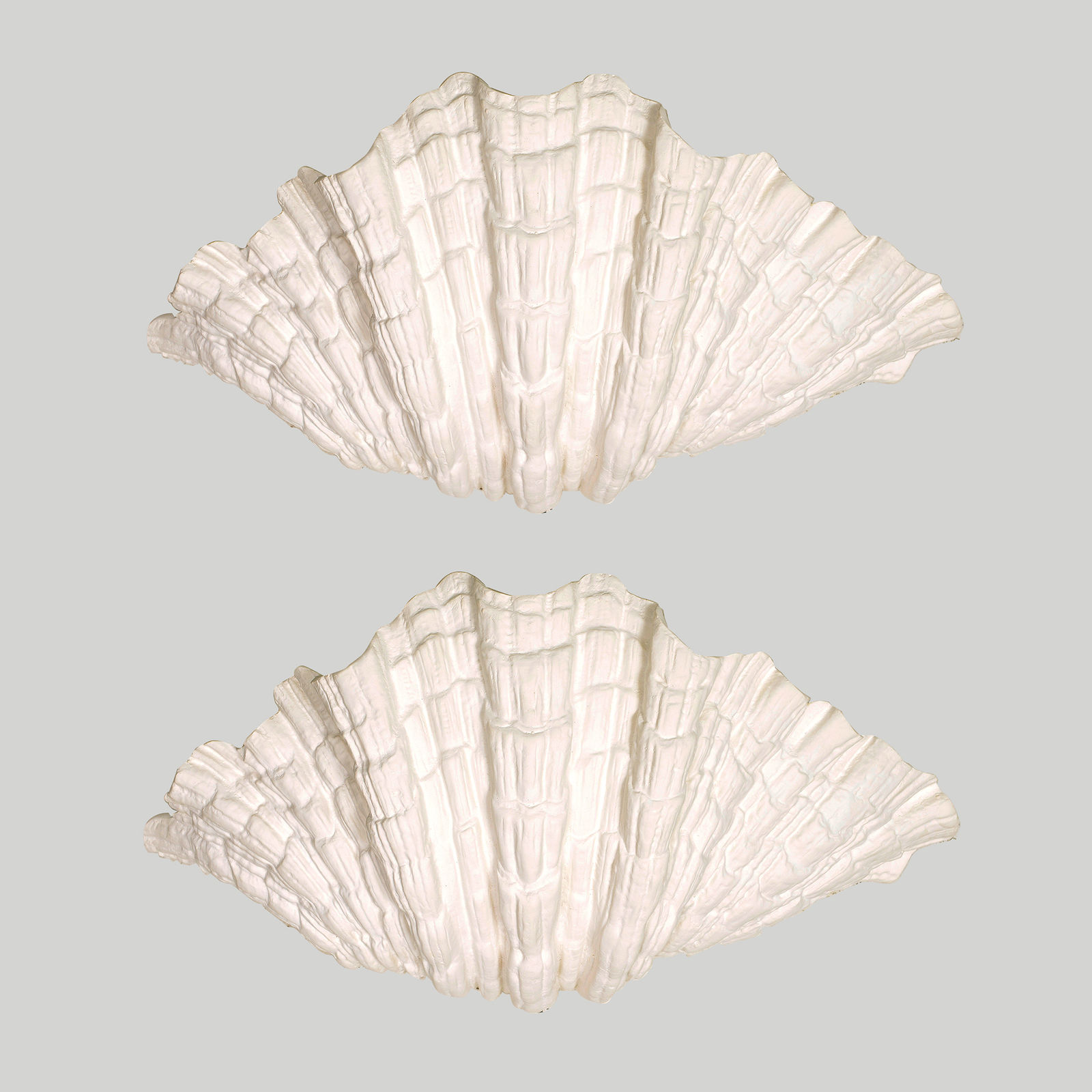 Bespoke Pair of Coquillage Plaster Sconces, 21st century
