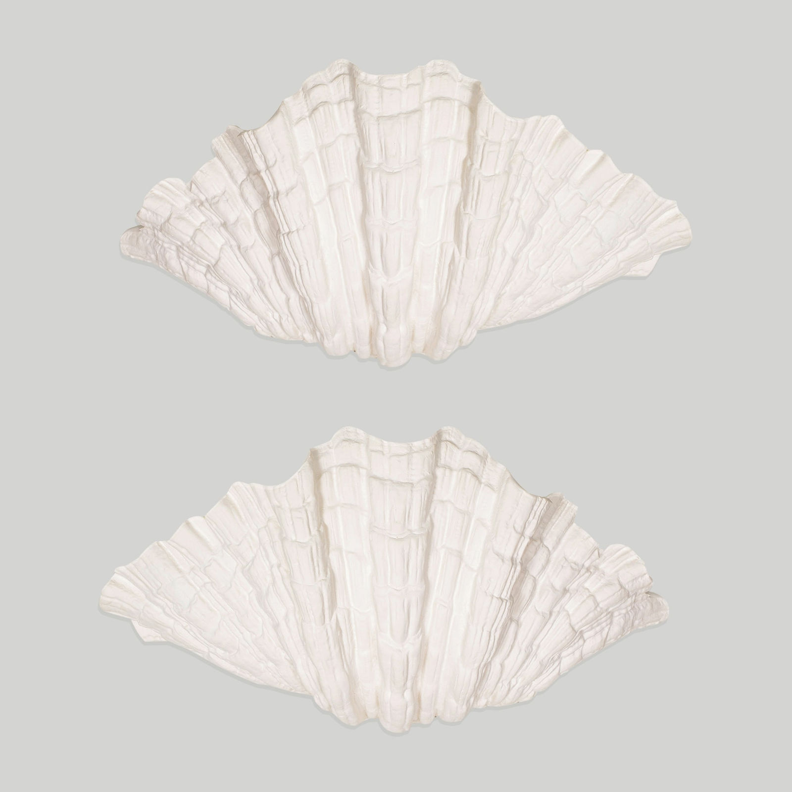 Bespoke Pair of Coquillage Plaster Sconces, 21st century