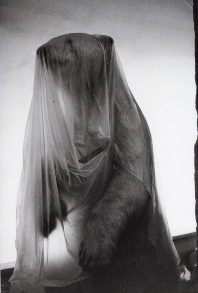 Hervé Guibert, Musée de l'Homme, Paris, 1978