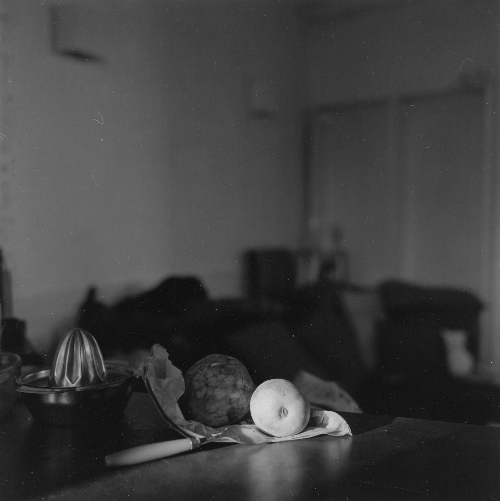 Thomas Boivin, Nature morte, 2020