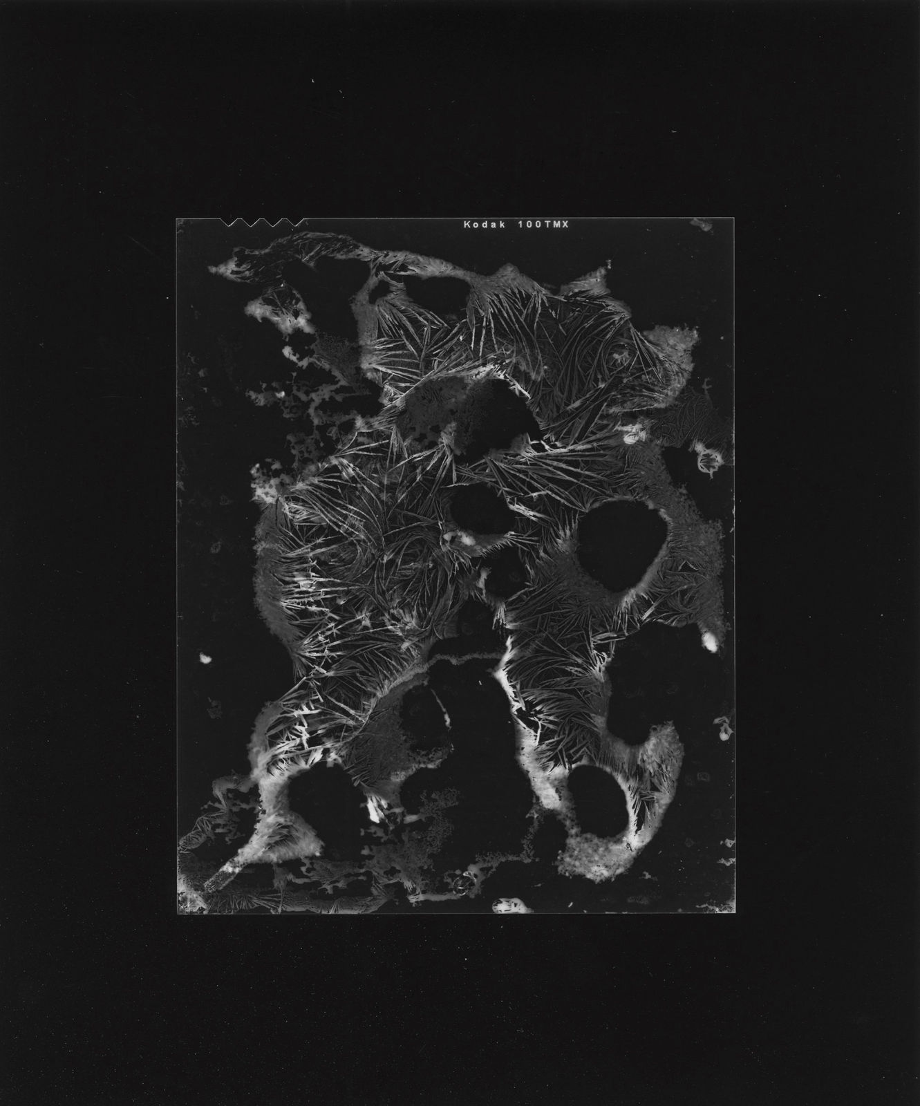 Bogdan Konopka, Cristallisations, 2015