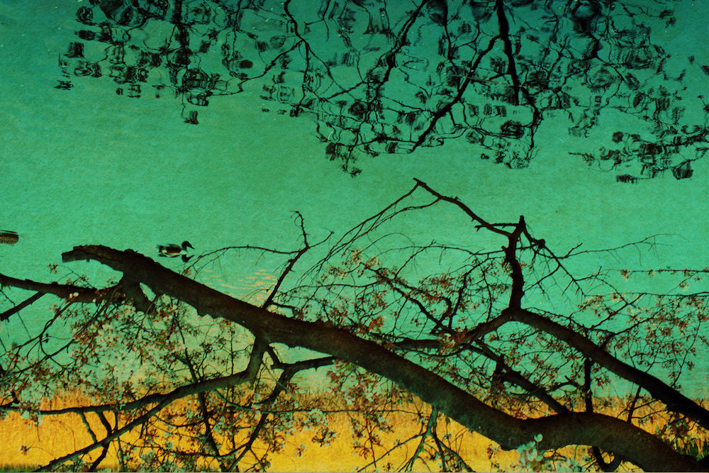 Albarrán Cabrera, The Mouth of Krishna #225, 2013