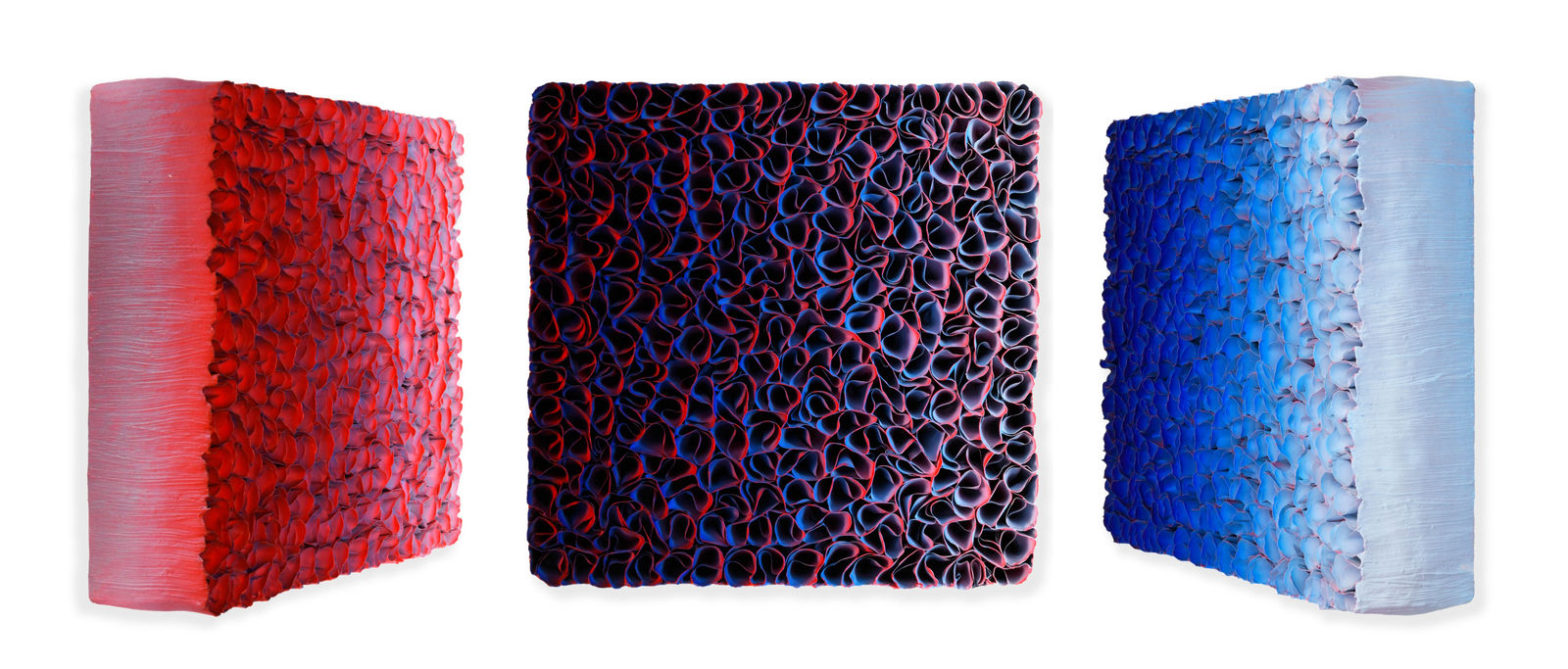 Zhuang Hong Yi, Field of Tulips, 2025