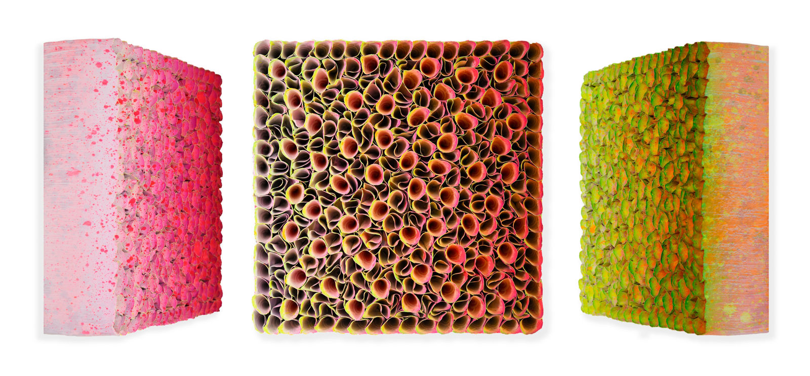 Zhuang Hong Yi, A Zest of Spring, 2025