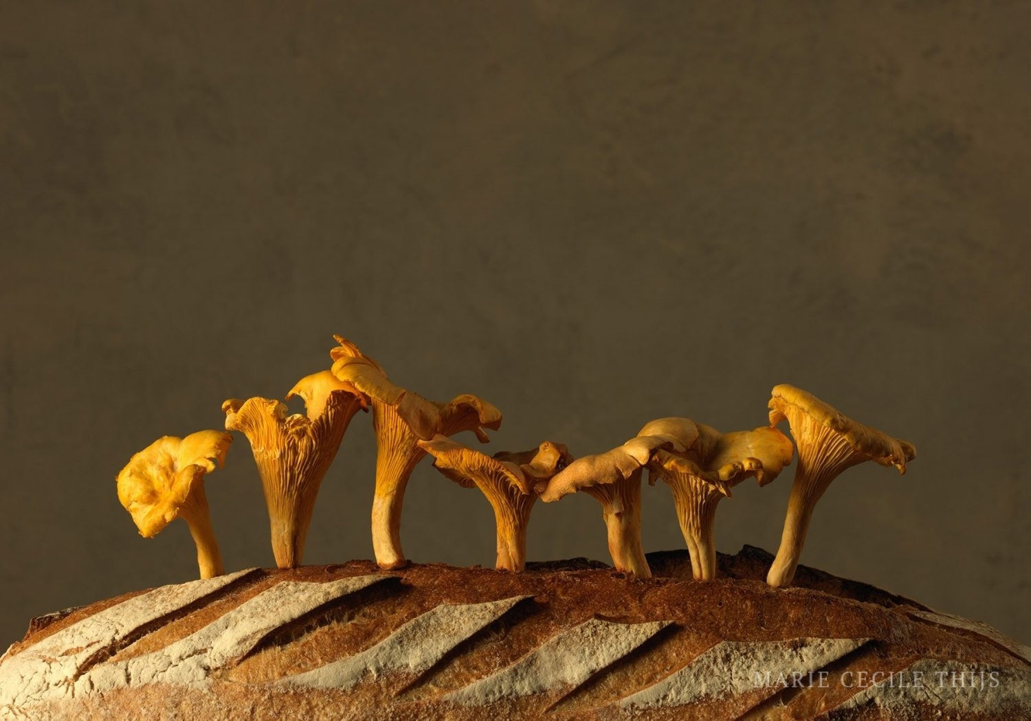 Marie Cecile Thijs, Swedish Chanterelles on Bread