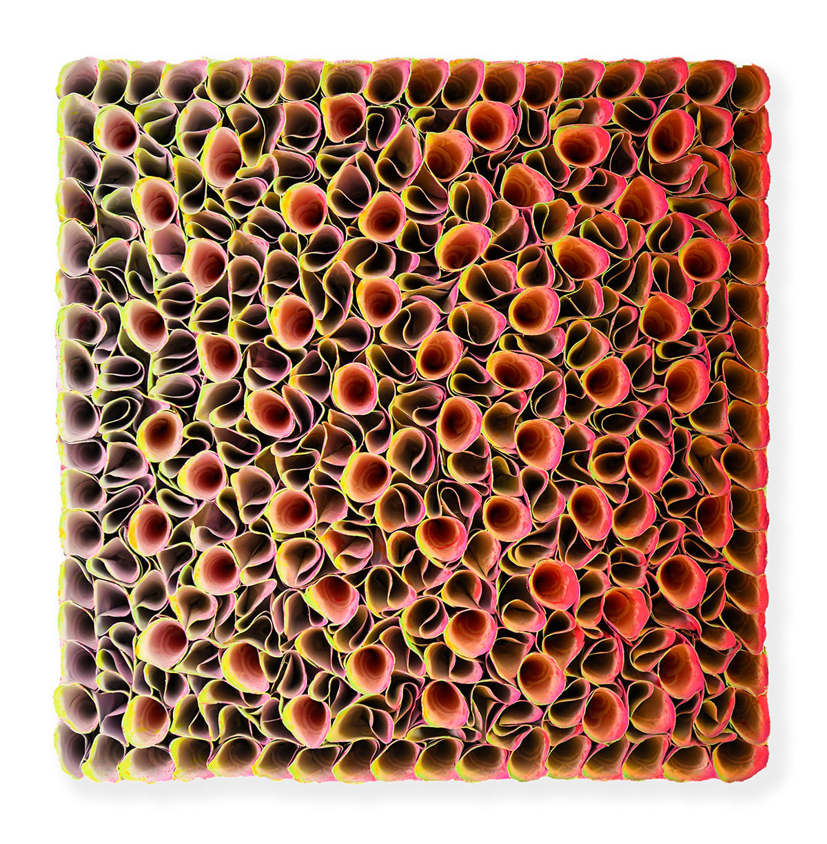 Zhuang Hong Yi, A Zest of Spring, 2025