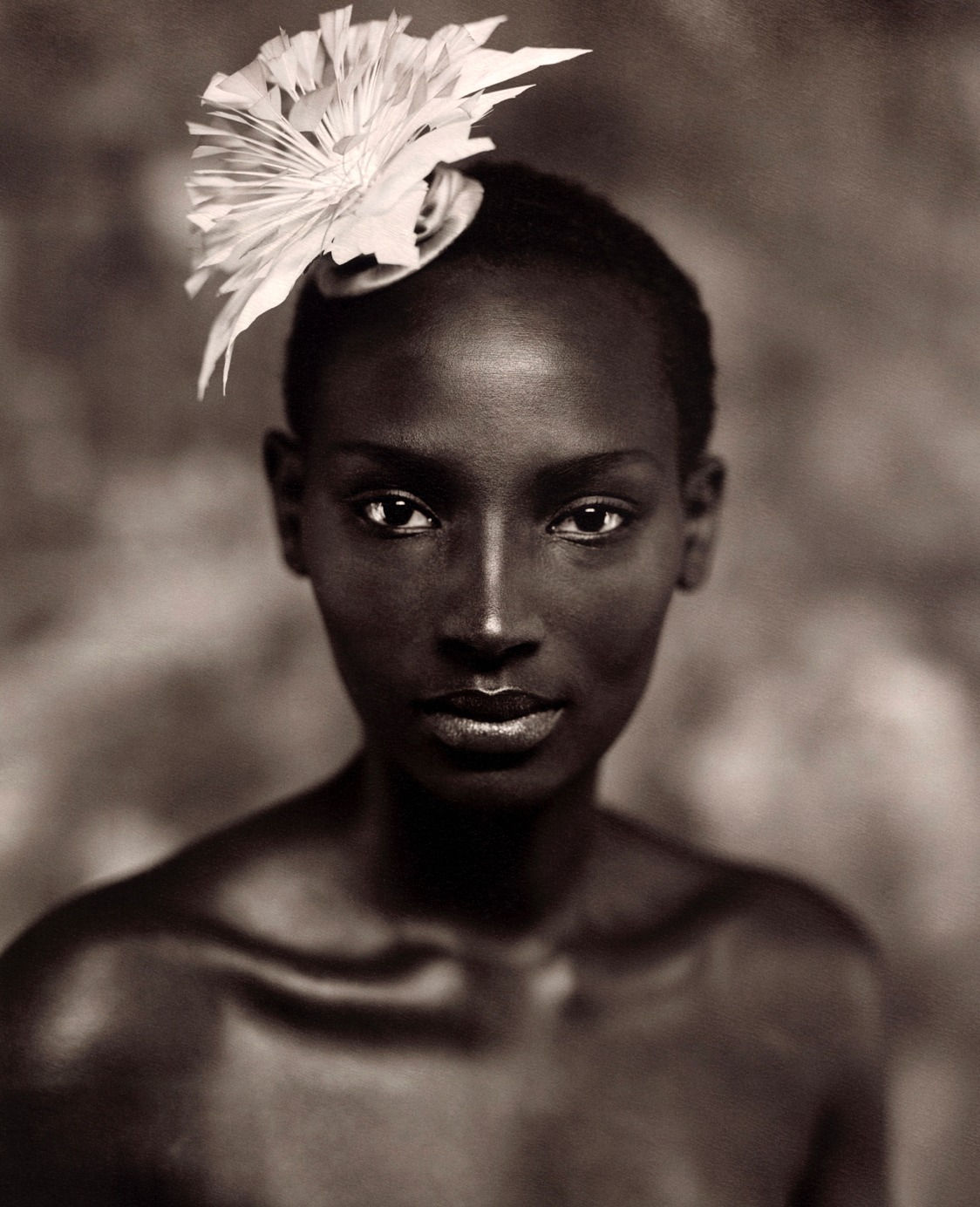 Marc Lagrange, Black Flower