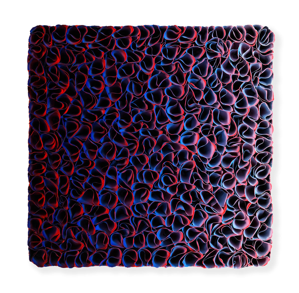 Zhuang Hong Yi, Field of Tulips, 2025